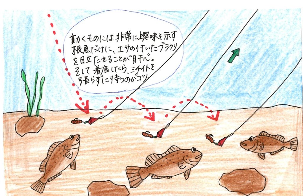ブラクリ釣り 確実に根魚が釣れるブラクリ釣りをご紹介 ビギナーにおすすめです タビカツリブログ