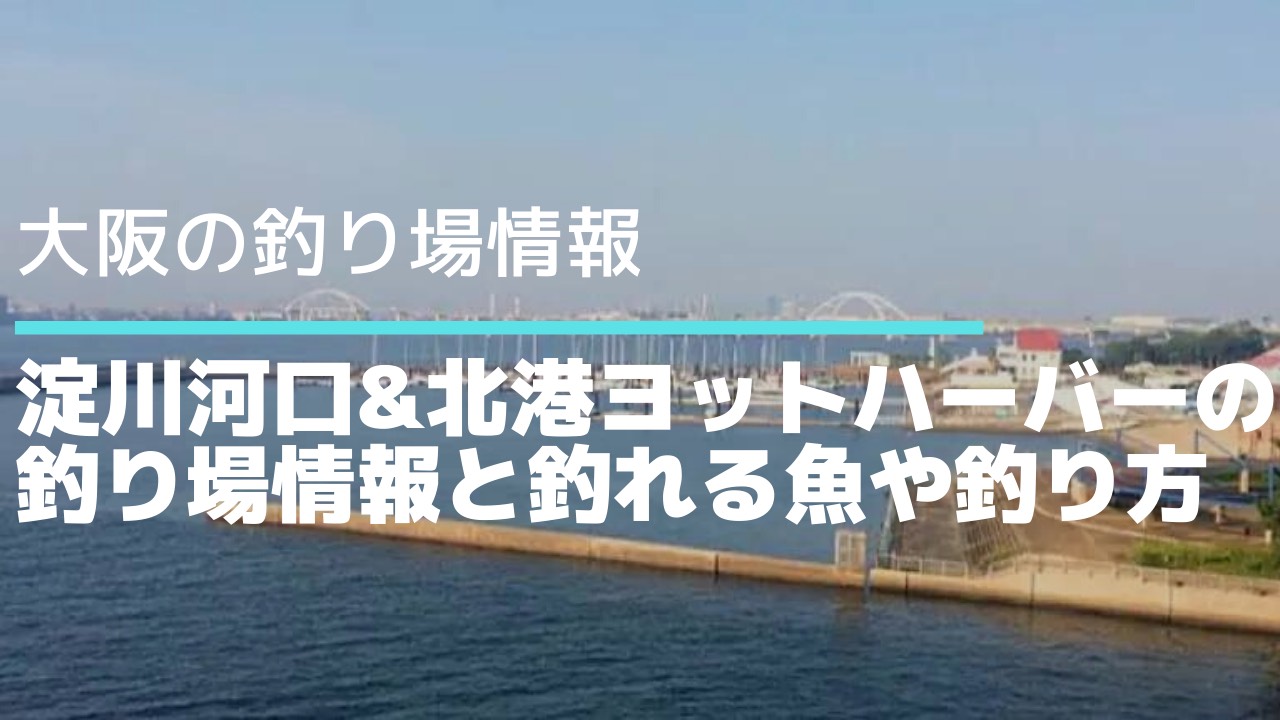 大阪 淀川河口 北港ヨットハーバー の釣り場情報 釣れる魚や釣り方 ポイントをご紹介 タビカツリブログ